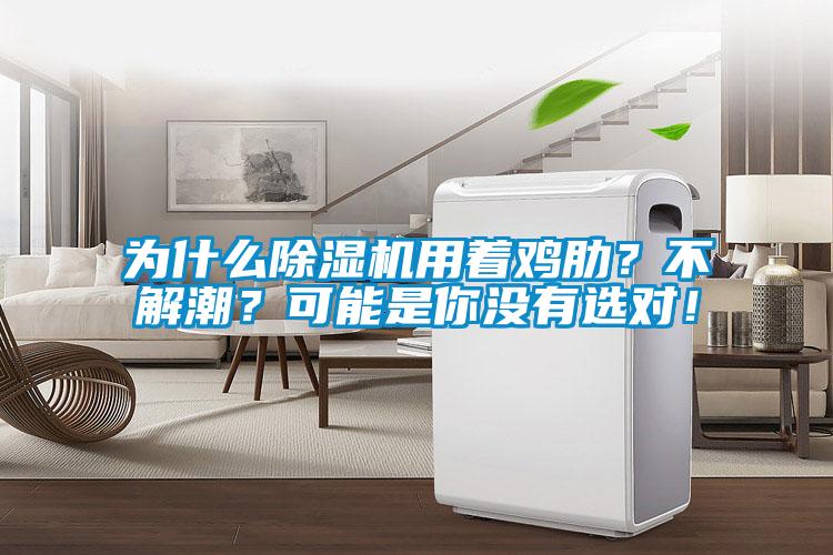 为什么除湿机用着鸡肋？不解潮？可能是你没有选对！