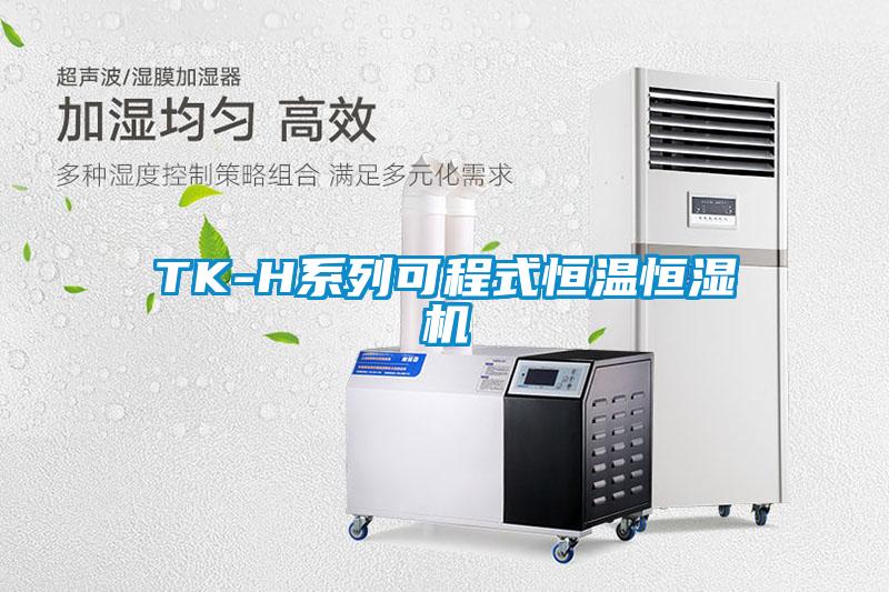 TK-H系列可程式恒温恒湿机