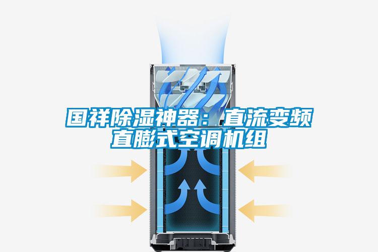 国祥除湿神器：直流变频直膨式空调机组