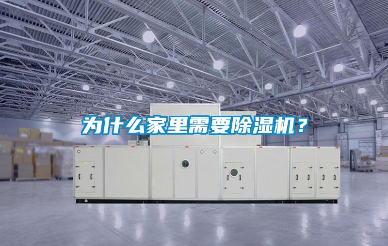 为什么家里需要除湿机？