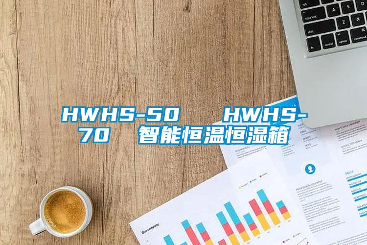 HWHS-50   HWHS-70  智能恒温恒湿箱