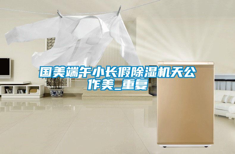 国美端午小长假除湿机天公作美_重复