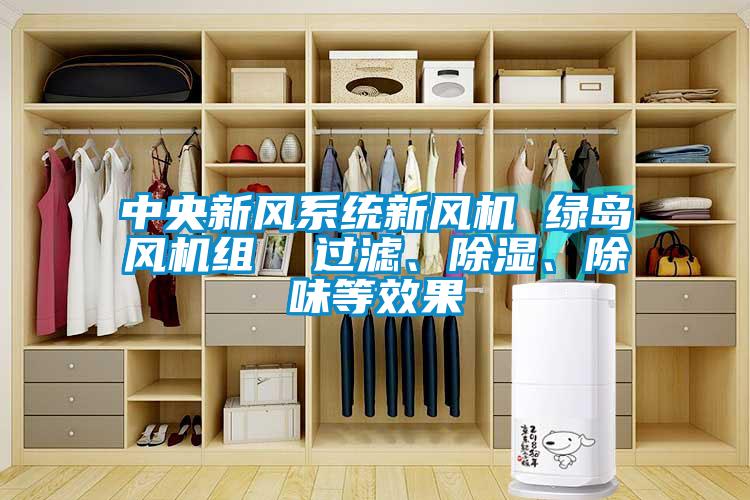 中央新风系统新风机 绿岛风机组  过滤、除湿、除味等效果