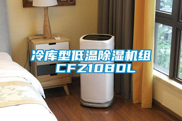 冷库型低温除湿机组 CFZ10BDL