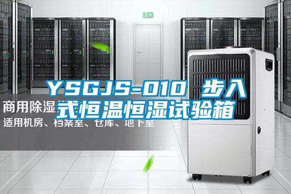 YSGJS-010 步入式恒温恒湿试验箱