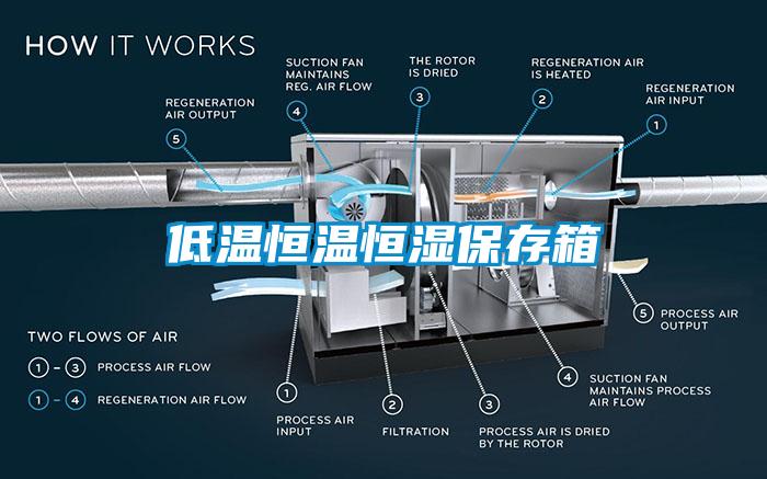 低温恒温恒湿保存箱