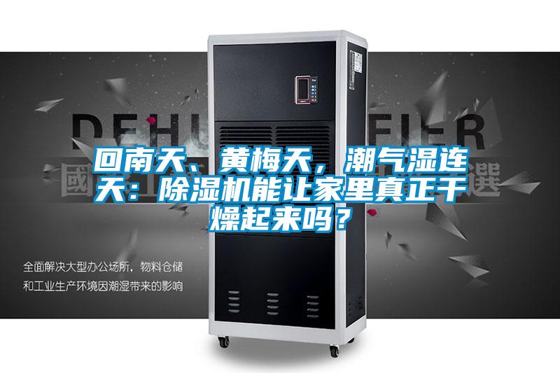 回南天、黄梅天，潮气湿连天：除湿机能让家里真正干燥起来吗？
