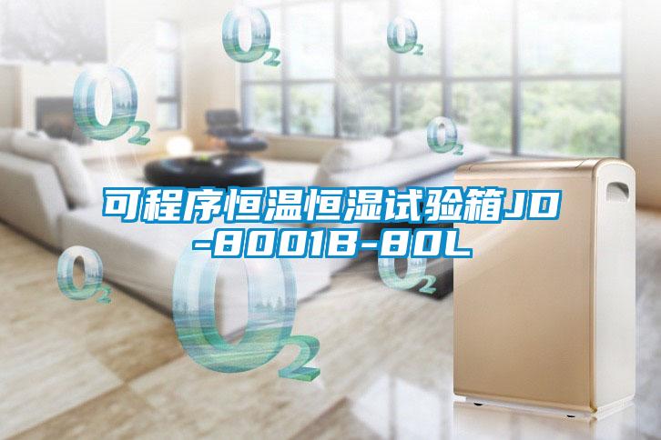 可程序恒温恒湿试验箱JD-8001B-80L