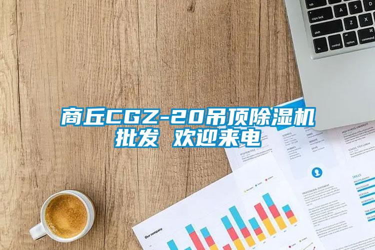 商丘CGZ-20吊顶除湿机批发 欢迎来电