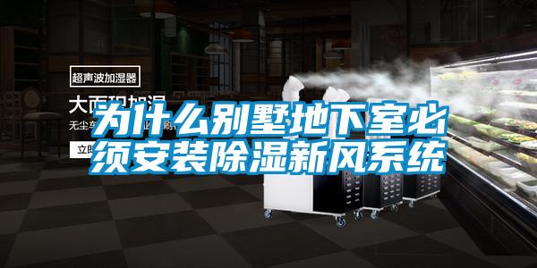 为什么别墅地下室必须安装除湿新风系统