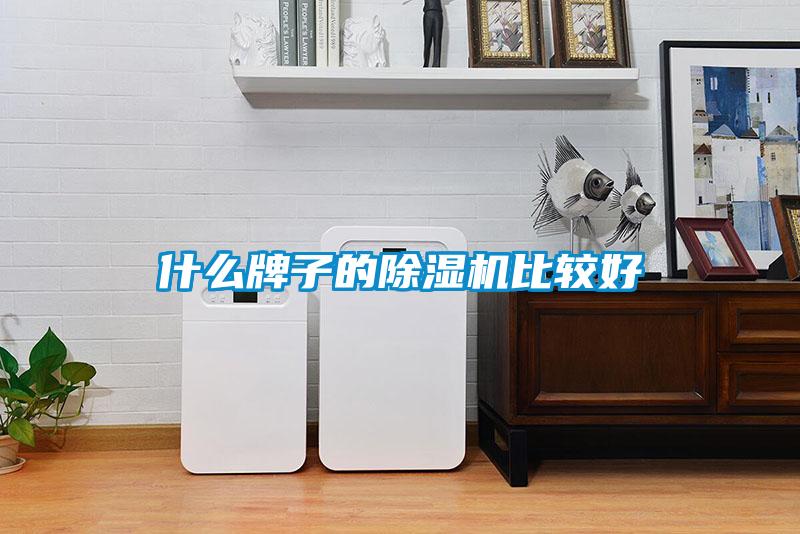 什么牌子的除湿机比较好