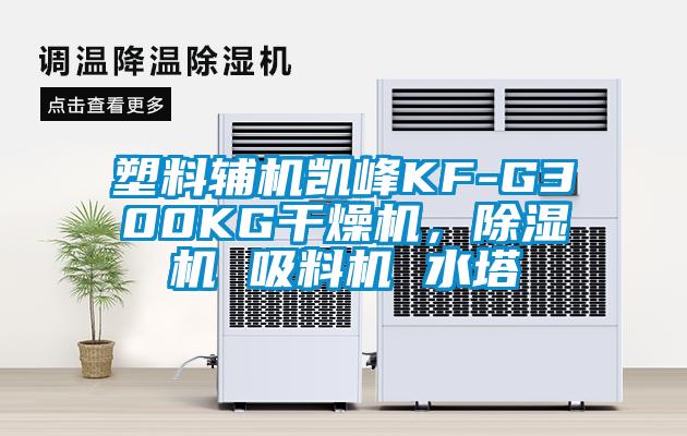 塑料辅机凯峰KF-G300KG干燥机，除湿机 吸料机 水塔