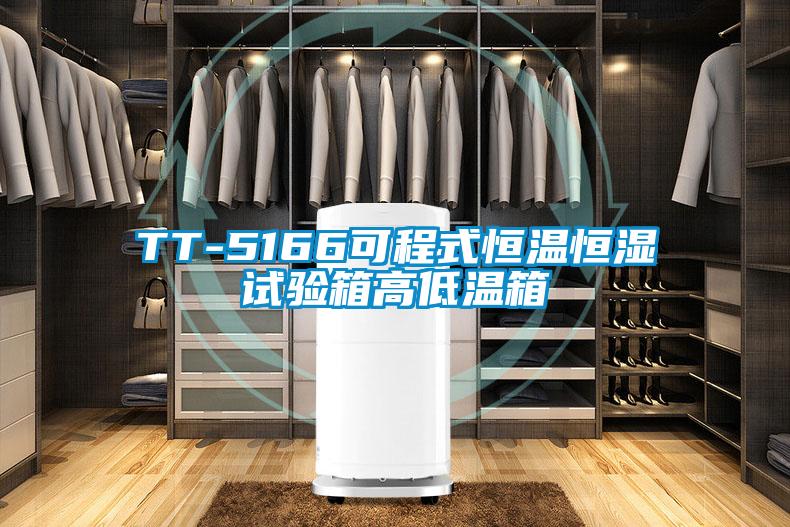 TT-5166可程式恒温恒湿试验箱高低温箱