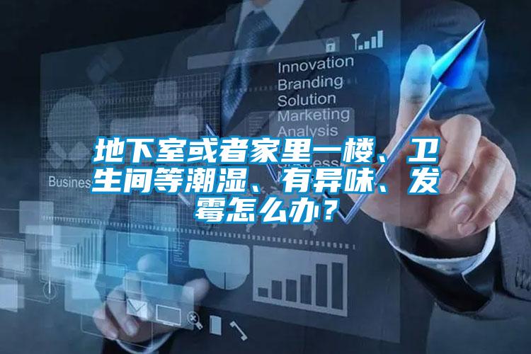 地下室或者家里一楼、卫生间等潮湿、有异味、发霉怎么办?