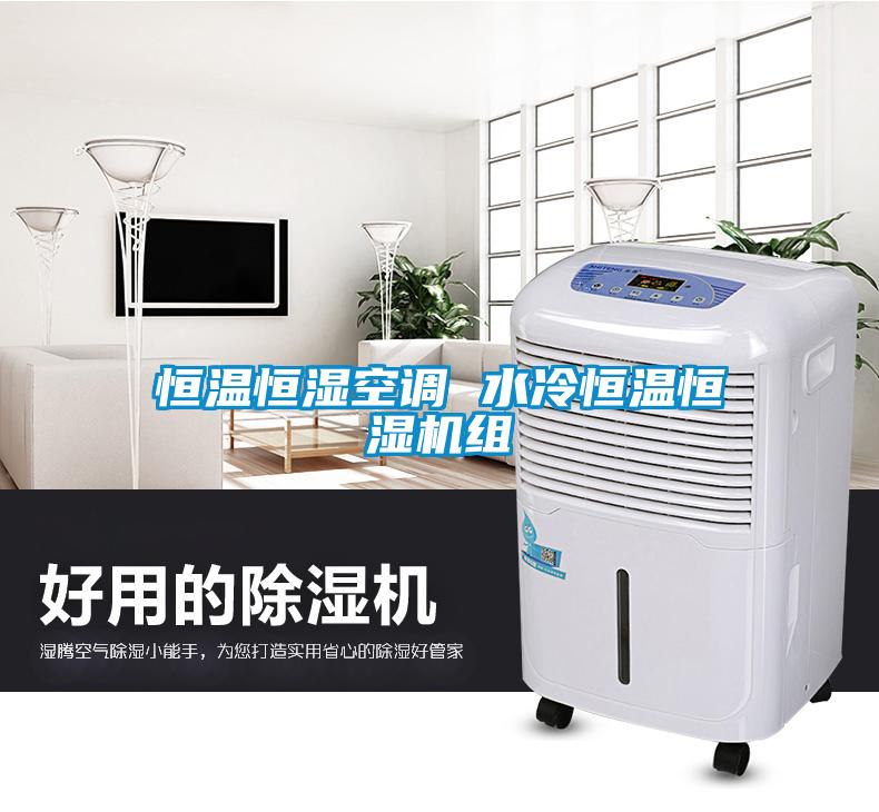 恒温恒湿空调 水冷恒温恒湿机组