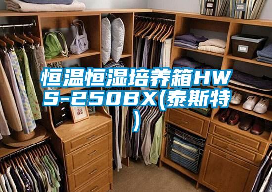 恒温恒湿培养箱HWS-250BX(泰斯特)