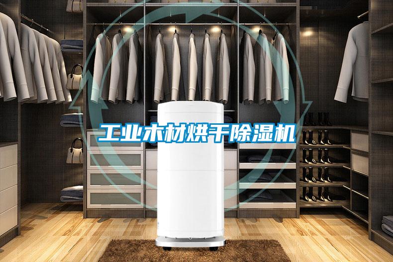 工业木材烘干除湿机