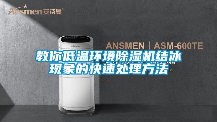 教你低温环境除湿机结冰现象的快速处理方法