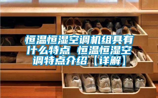 恒温恒湿空调机组具有什么特点 恒温恒湿空调特点介绍【详解】