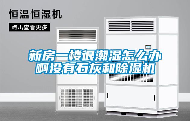 新房一楼很潮湿怎么办啊没有石灰和除湿机