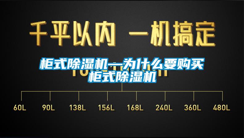 柜式除湿机—为什么要购买柜式除湿机