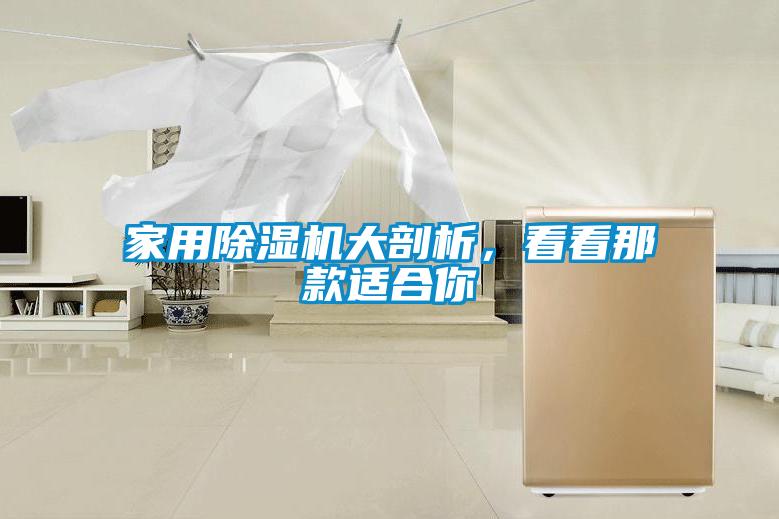 家用除湿机大剖析，看看那款适合你