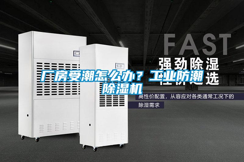 厂房受潮怎么办？工业防潮除湿机