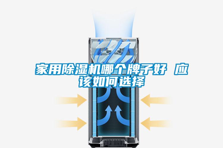 家用除湿机哪个牌子好 应该如何选择