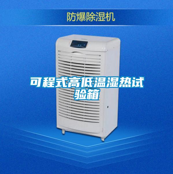 可程式高低温湿热试验箱