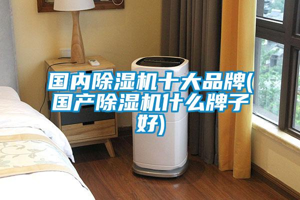 国内除湿机十大品牌(国产除湿机什么牌子好)