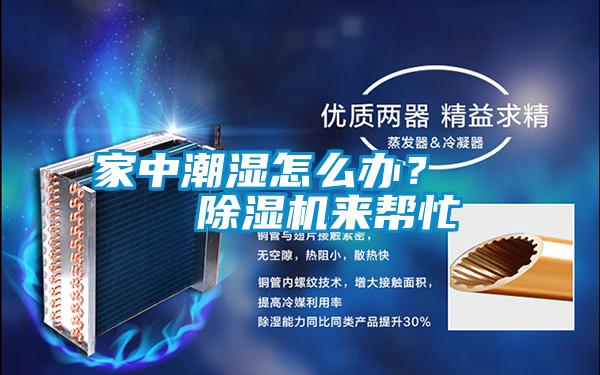 家中潮湿怎么办？    除湿机来帮忙