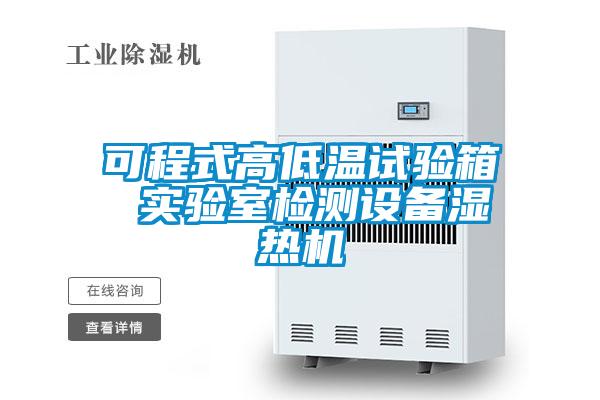 可程式高低温试验箱 实验室检测设备湿热机