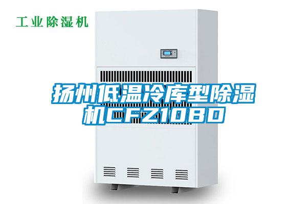 扬州低温冷库型除湿机CFZ10BD