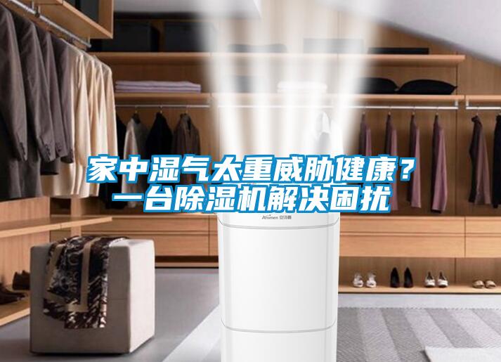 家中湿气太重威胁健康？一台除湿机解决困扰