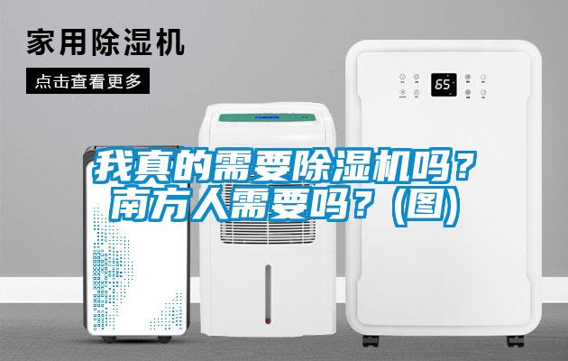 我真的需要除湿机吗？南方人需要吗？(图)