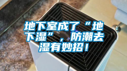 地下室成了“地下湿”,防潮去湿有妙招!