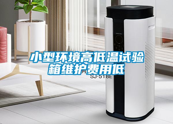 小型环境高低温试验箱维护费用低