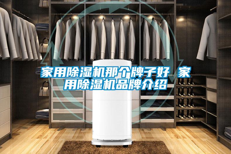 家用除湿机那个牌子好 家用除湿机品牌介绍