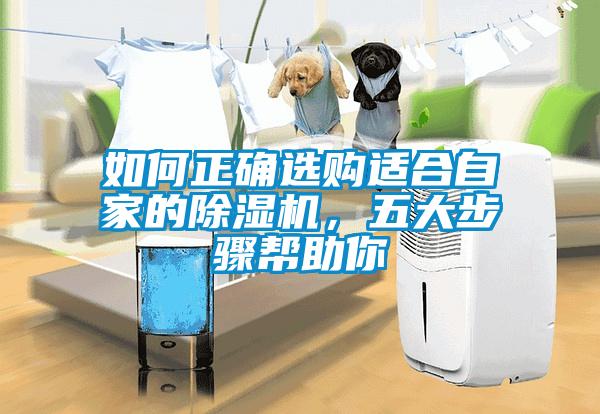如何正确选购适合自家的除湿机，五大步骤帮助你