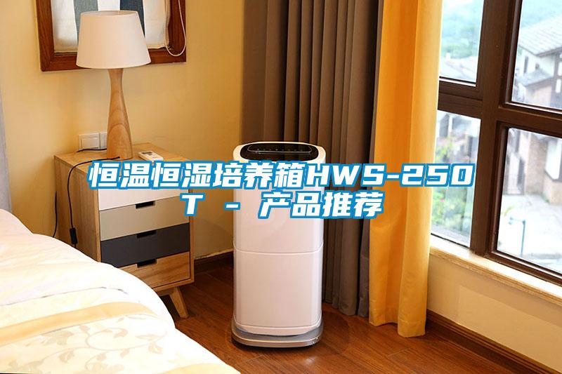 恒温恒湿培养箱HWS-250T - 产品推荐