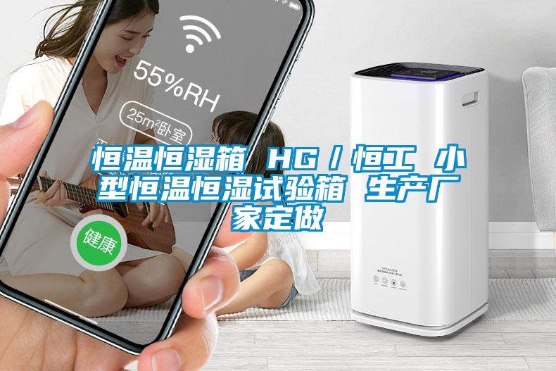 恒温恒湿箱 HG／恒工 小型恒温恒湿试验箱 生产厂家定做