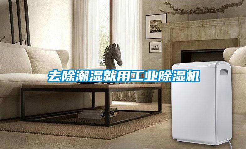 去除潮湿就用工业除湿机