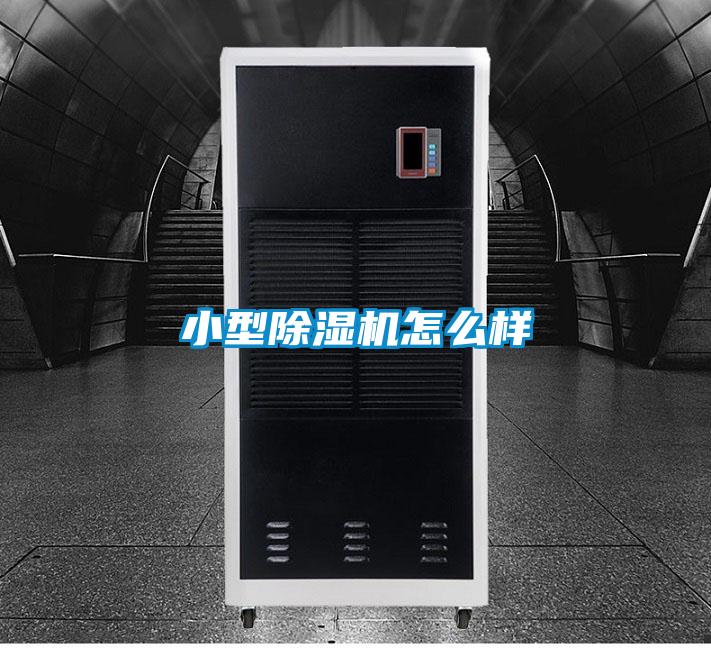 小型除湿机怎么样