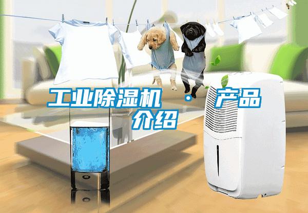 工业除湿机 · 产品介绍