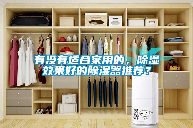 有没有适合家用的，除湿效果好的除湿器推荐？
