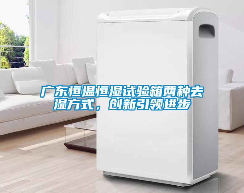 广东恒温恒湿试验箱两种去湿方式，创新引领进步