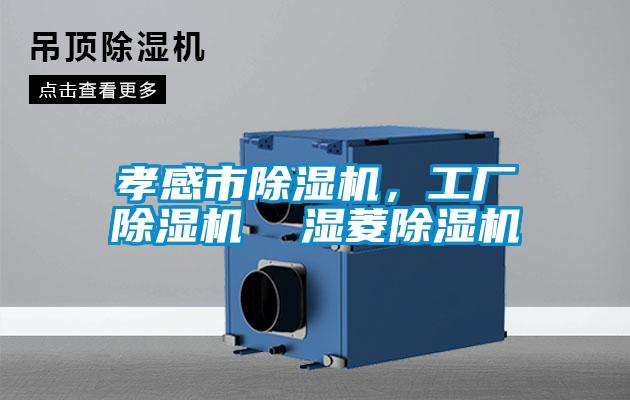 孝感市除湿机，工厂除湿机  湿菱除湿机