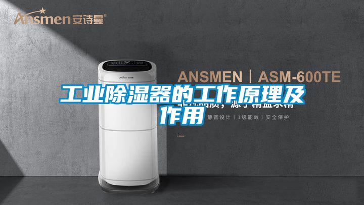 工业除湿器的工作原理及作用