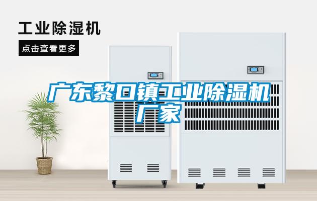 广东黎口镇工业除湿机厂家