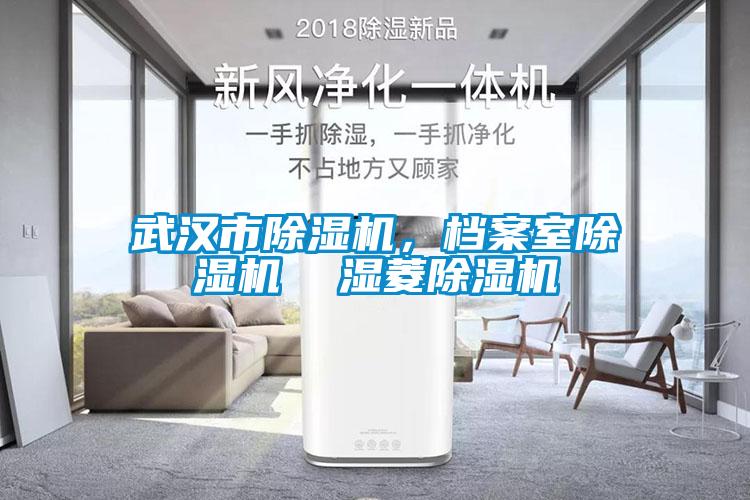 武汉市除湿机，档案室除湿机  湿菱除湿机